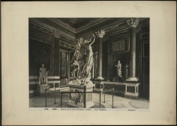 4606 - Roma - Interno della sala dell’Apollo e Dafne - Gall. Borghese